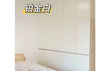 铂金白案例展示