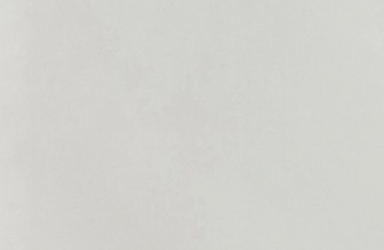 ENF级抗菌生态板-肤感白