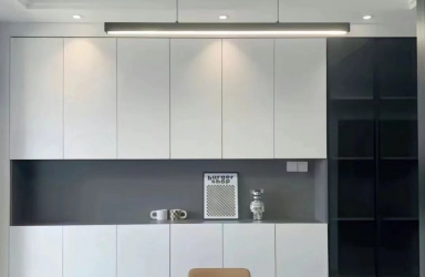 至臻白案例展示